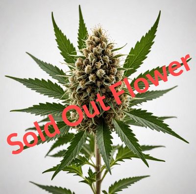 Sold Out Flower