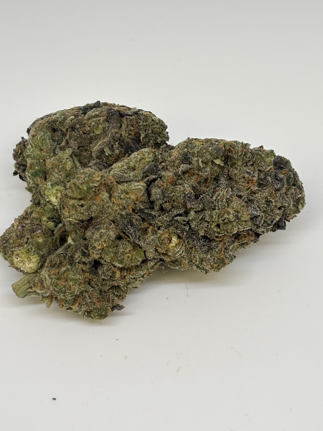 Northern Lights