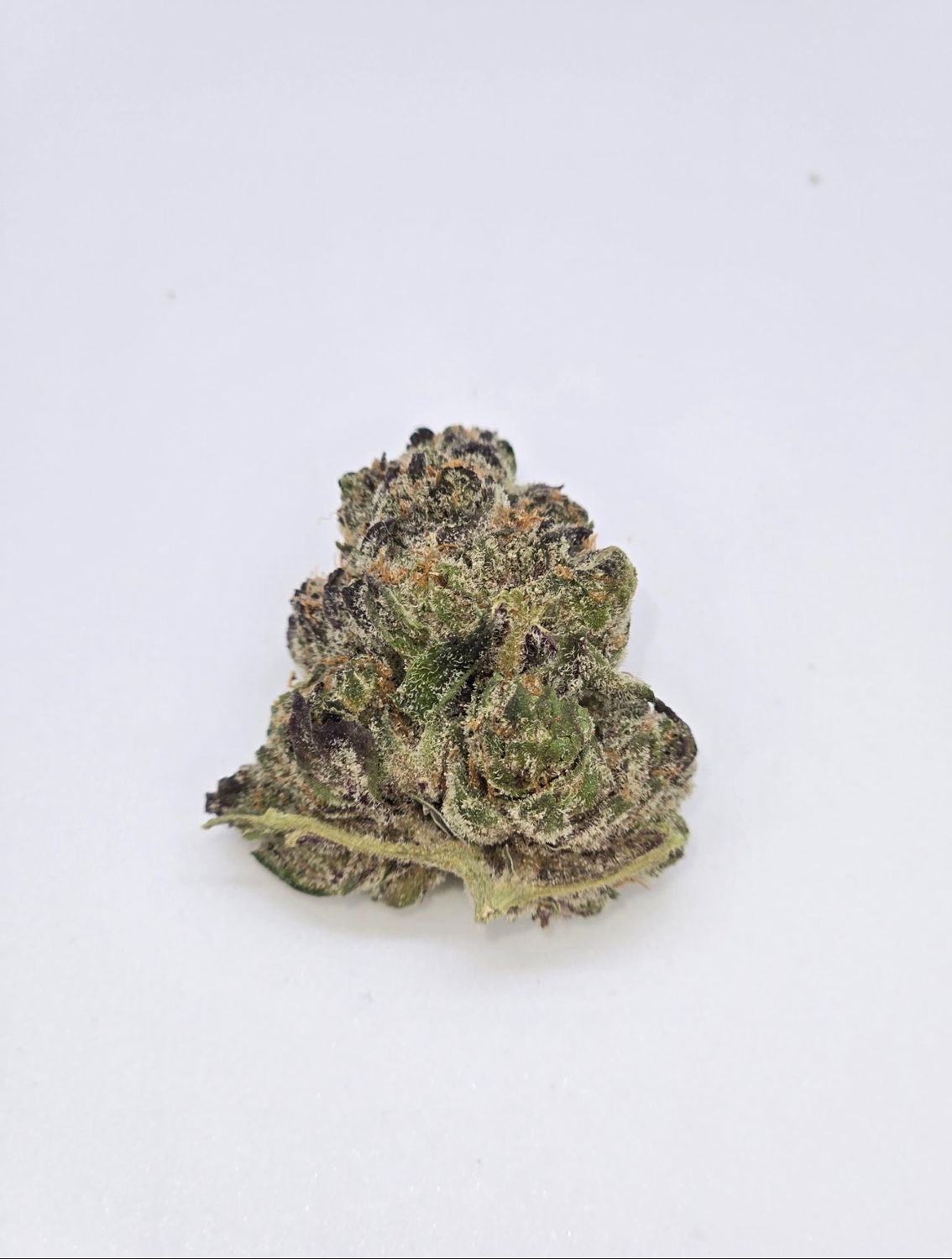 Lava Cake