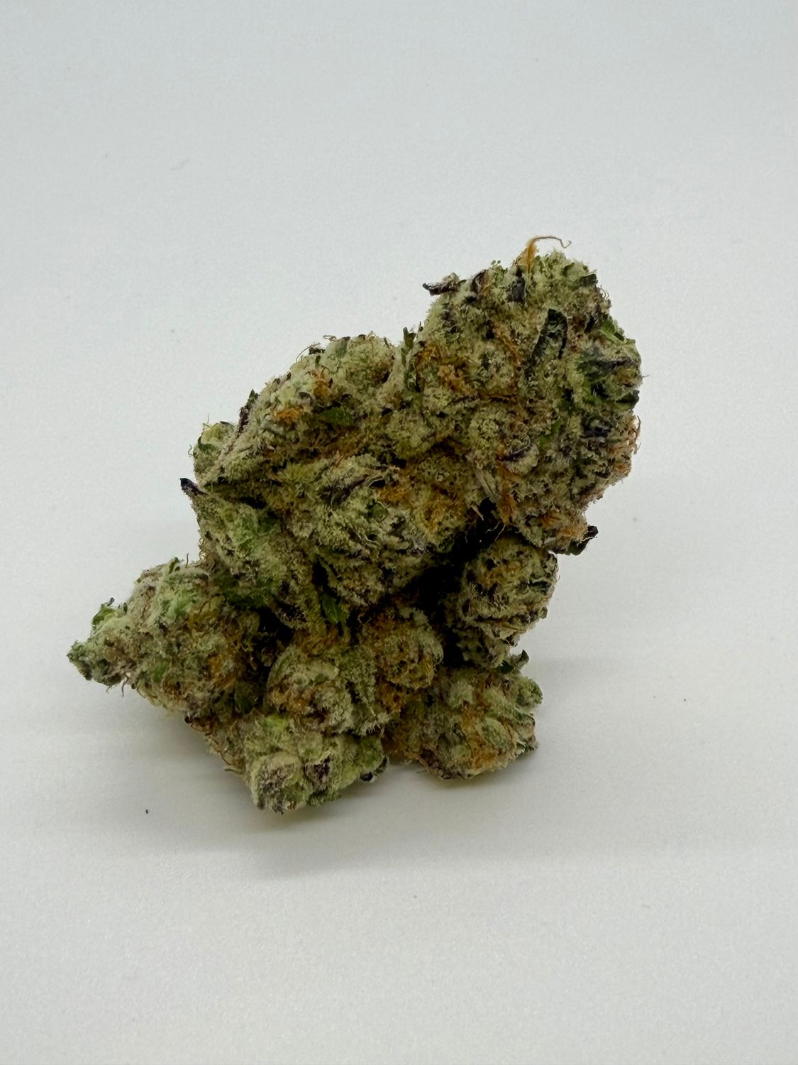 Apple Fritter flower