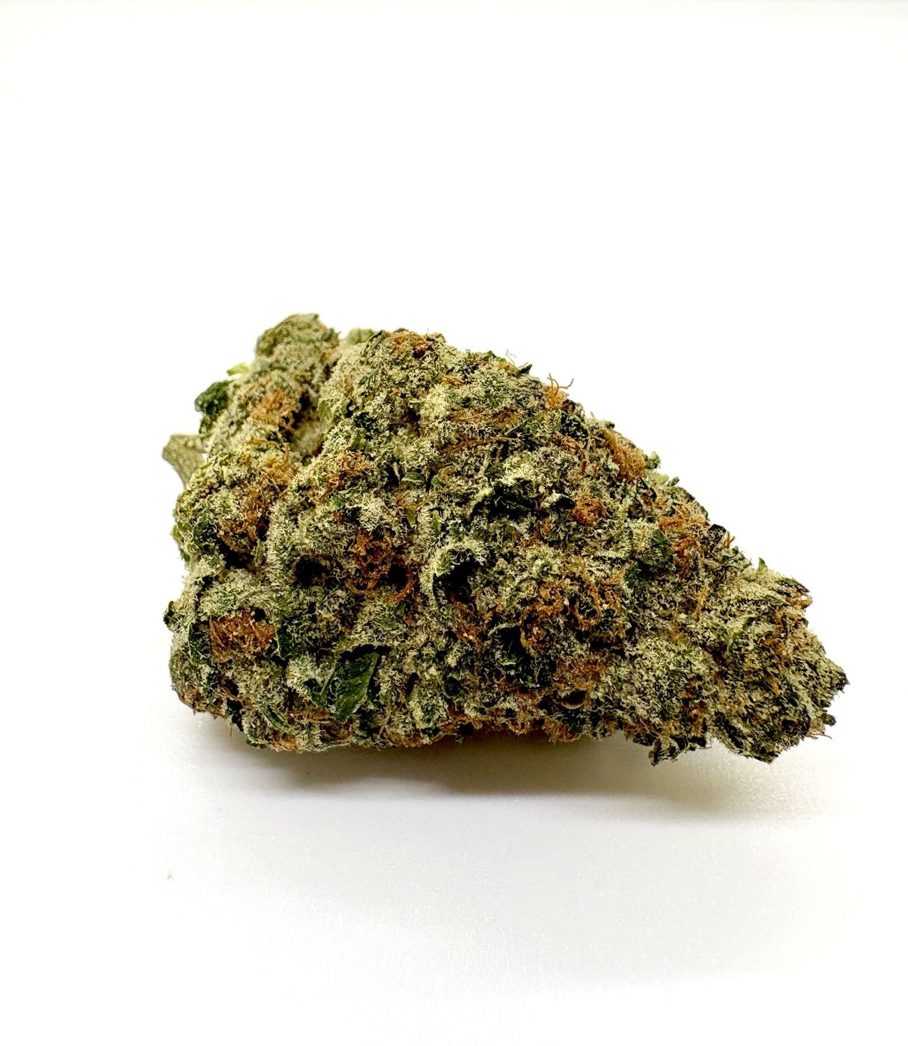 Golden Goat