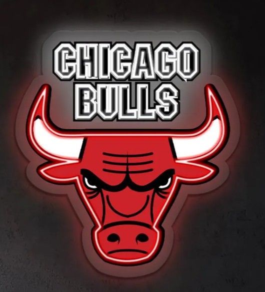 Chicago Bulls