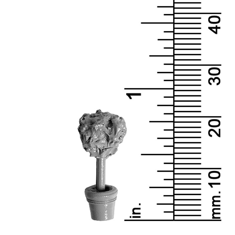 Plant Decor