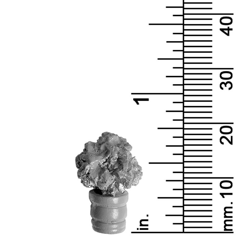 Plant Decor