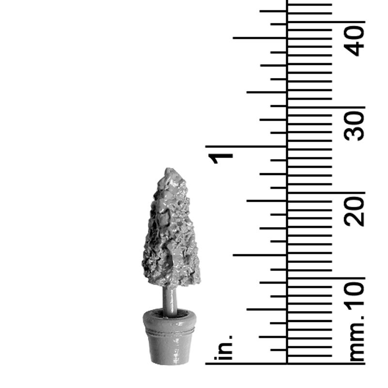Plant Decor