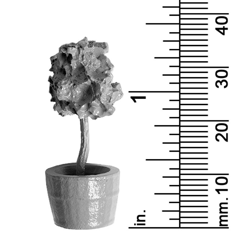 Plant Decor
