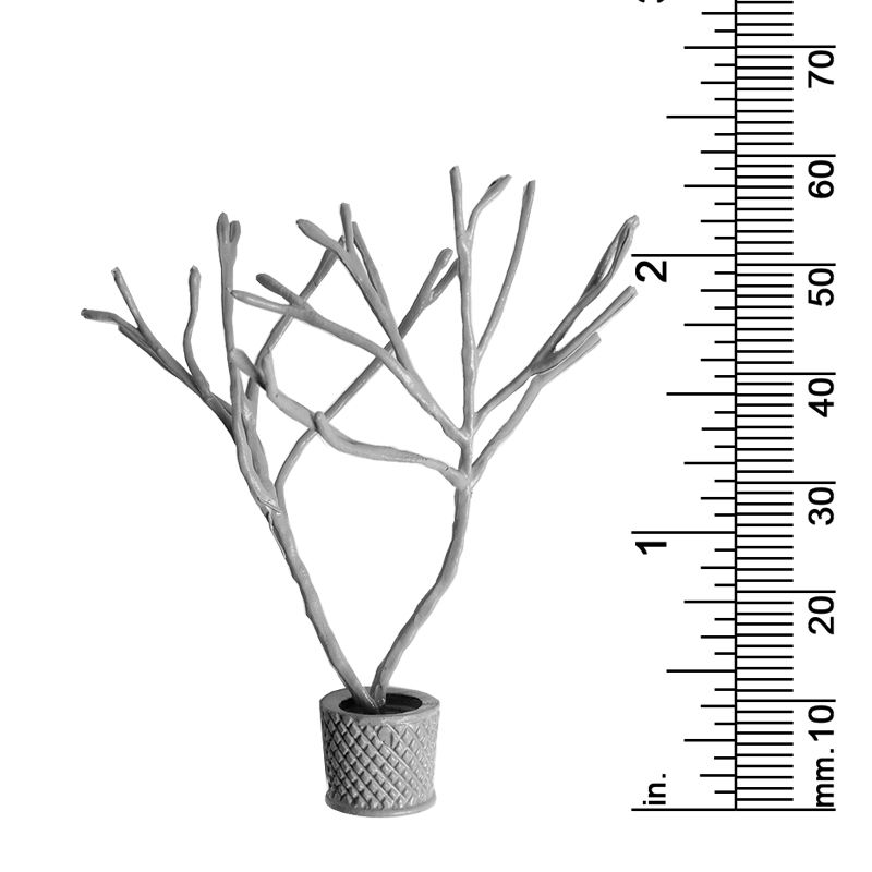 Plant Decor