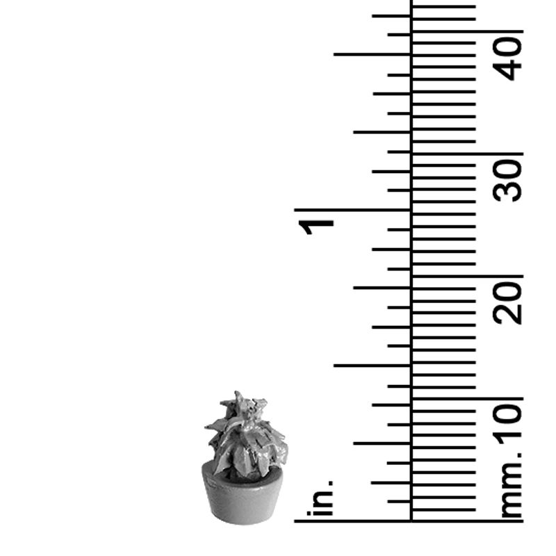 Plant Decor