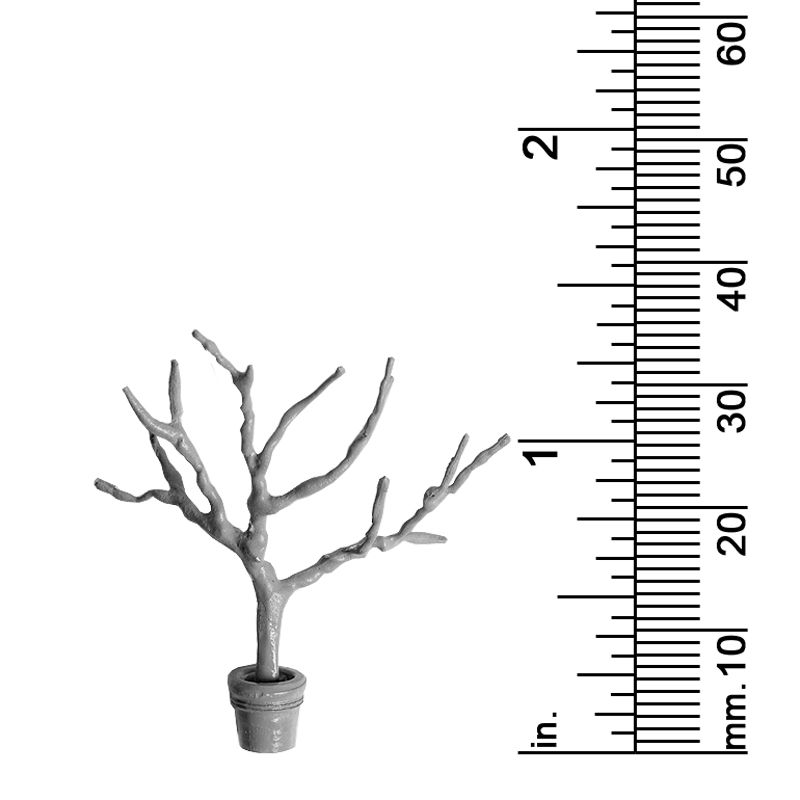 Plant Decor