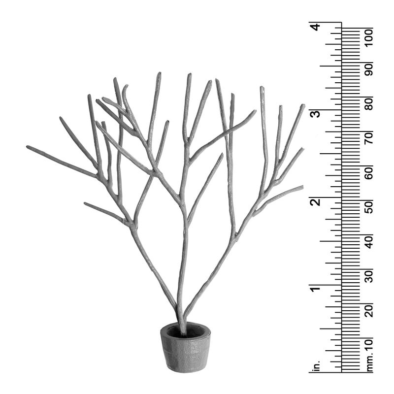 Plant Decor