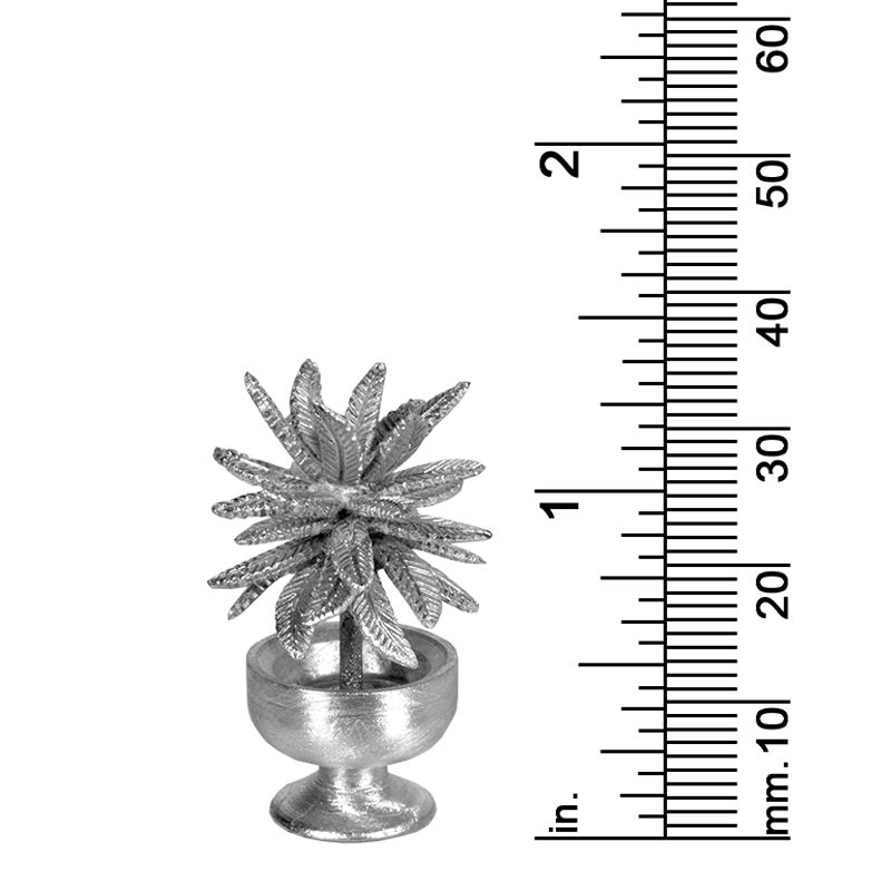 PLANT DECOR