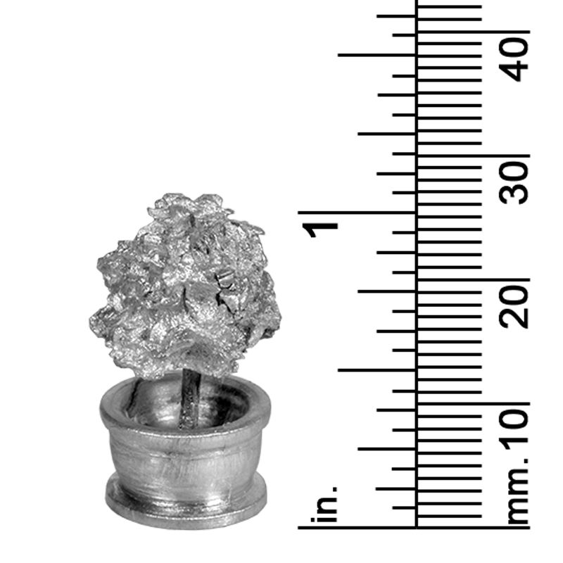 PLANT DECOR
