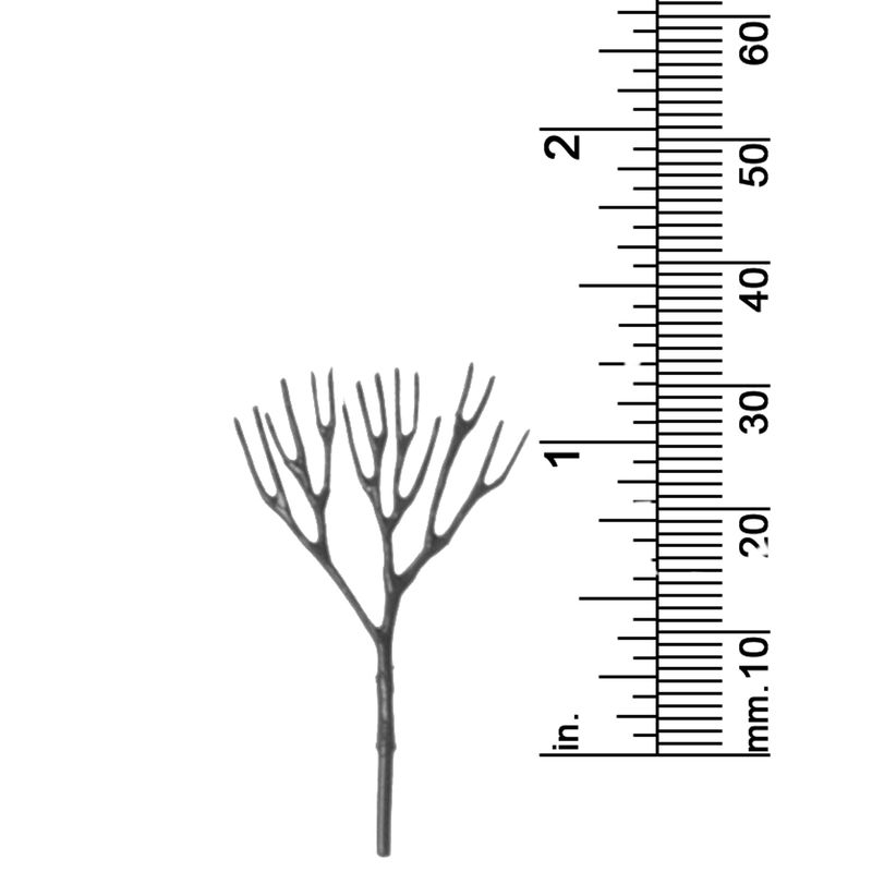 1-1/4&quot; DECIDUOUS TREE