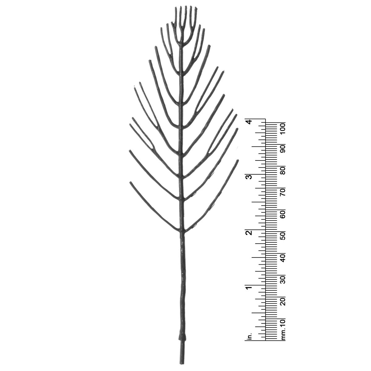 6-1/8&quot; TREE