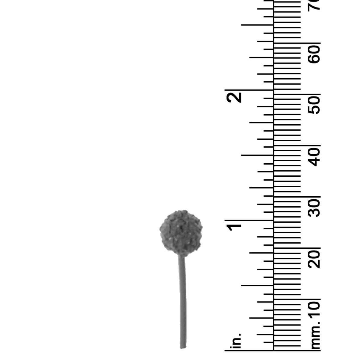 1&quot; Assorted Round Top Trees