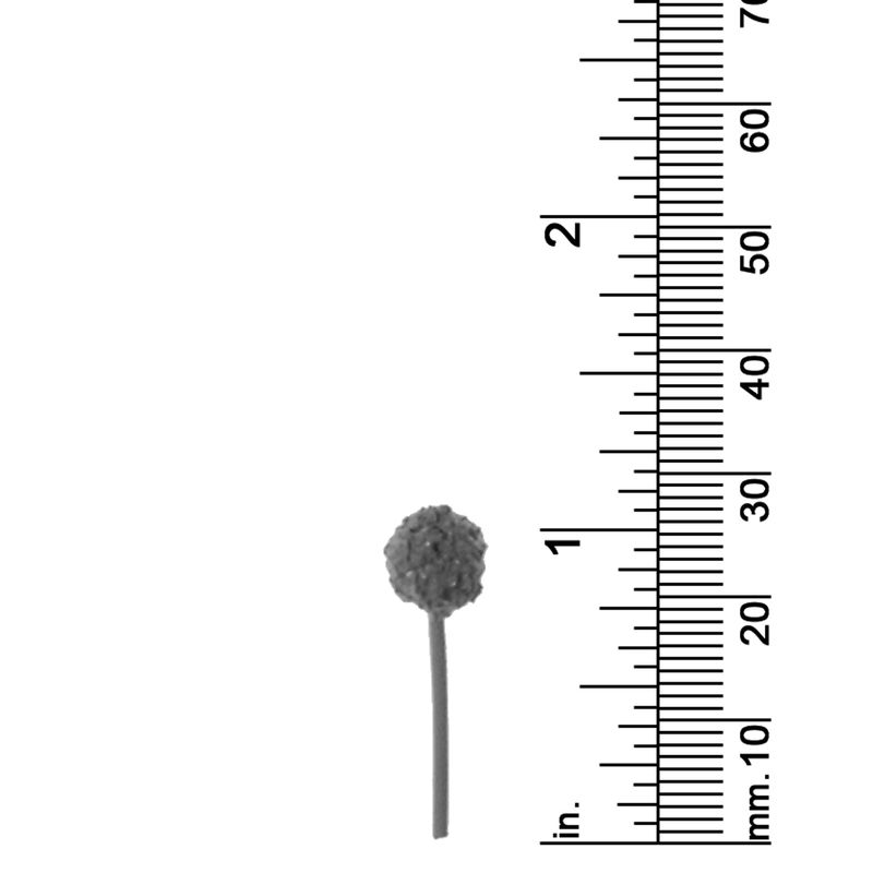 1&quot; Assorted Round Top Trees