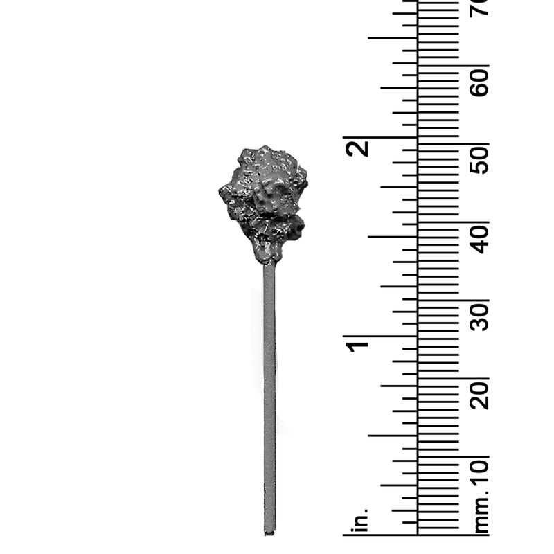 Round Top Tree 2&quot; High