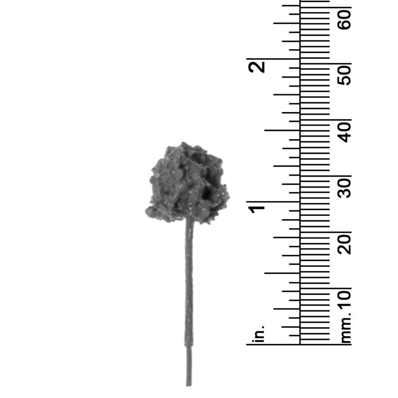 1-1/2&quot; ROUND TOP TREE
