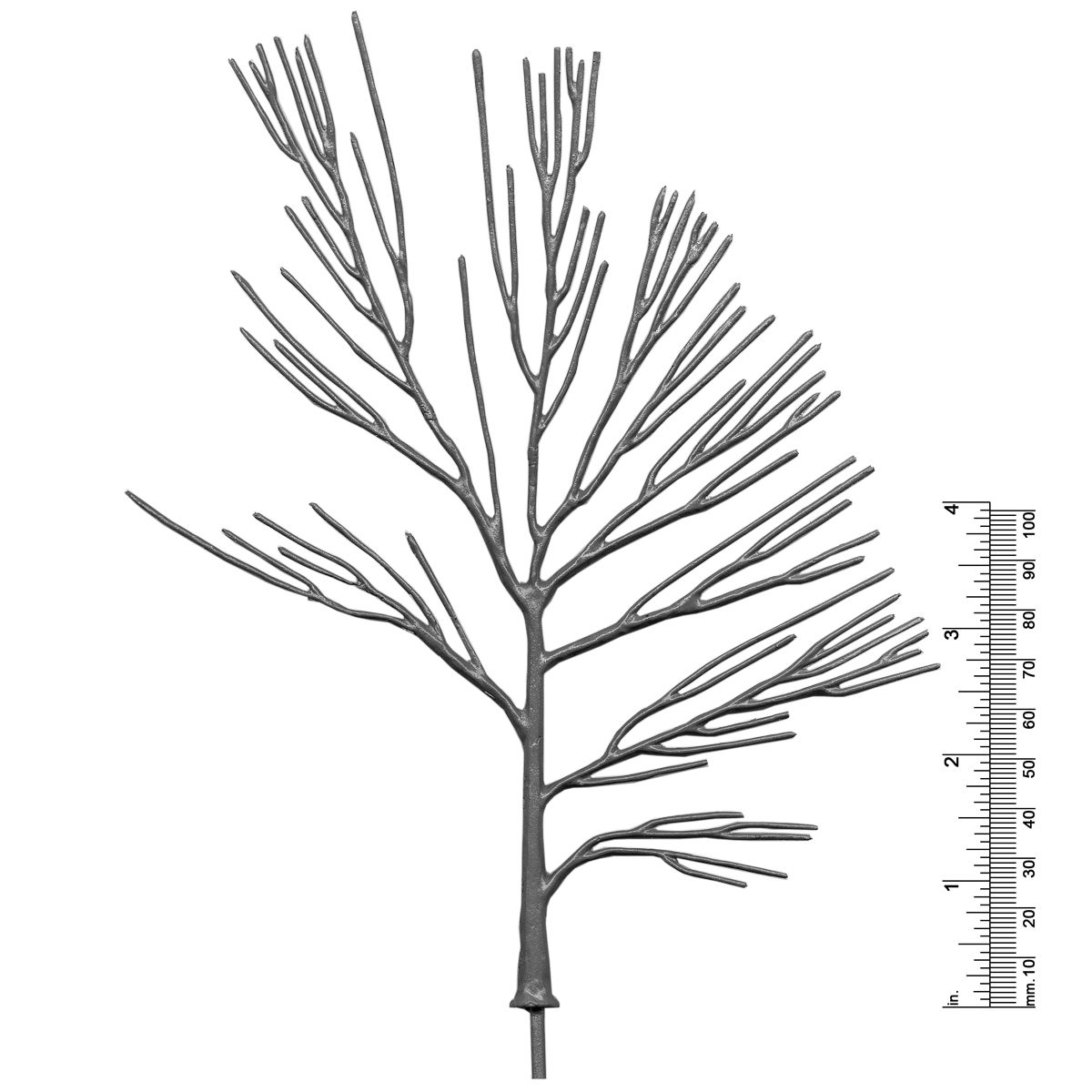 8&quot; DECIDUOUS TREE
