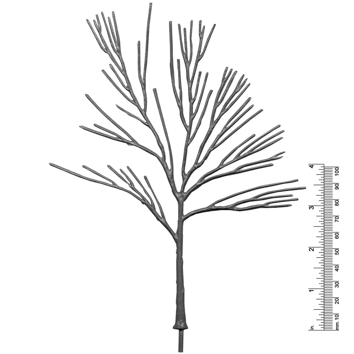8&quot; Deciduous Tree