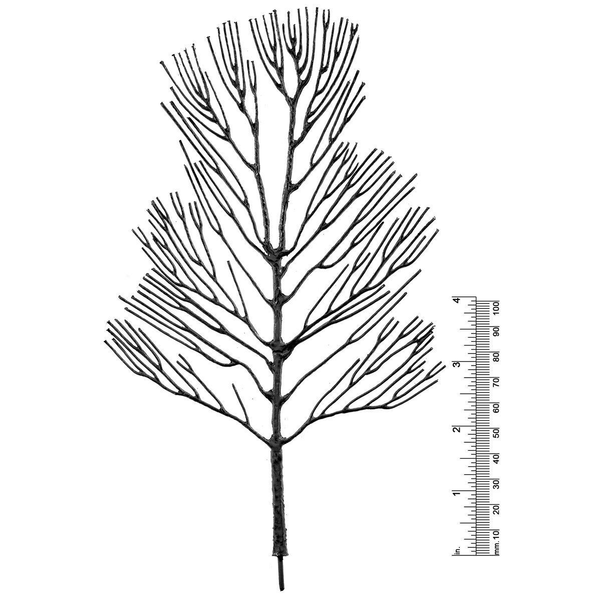8-1/2&quot; DECIDUOUS TREE