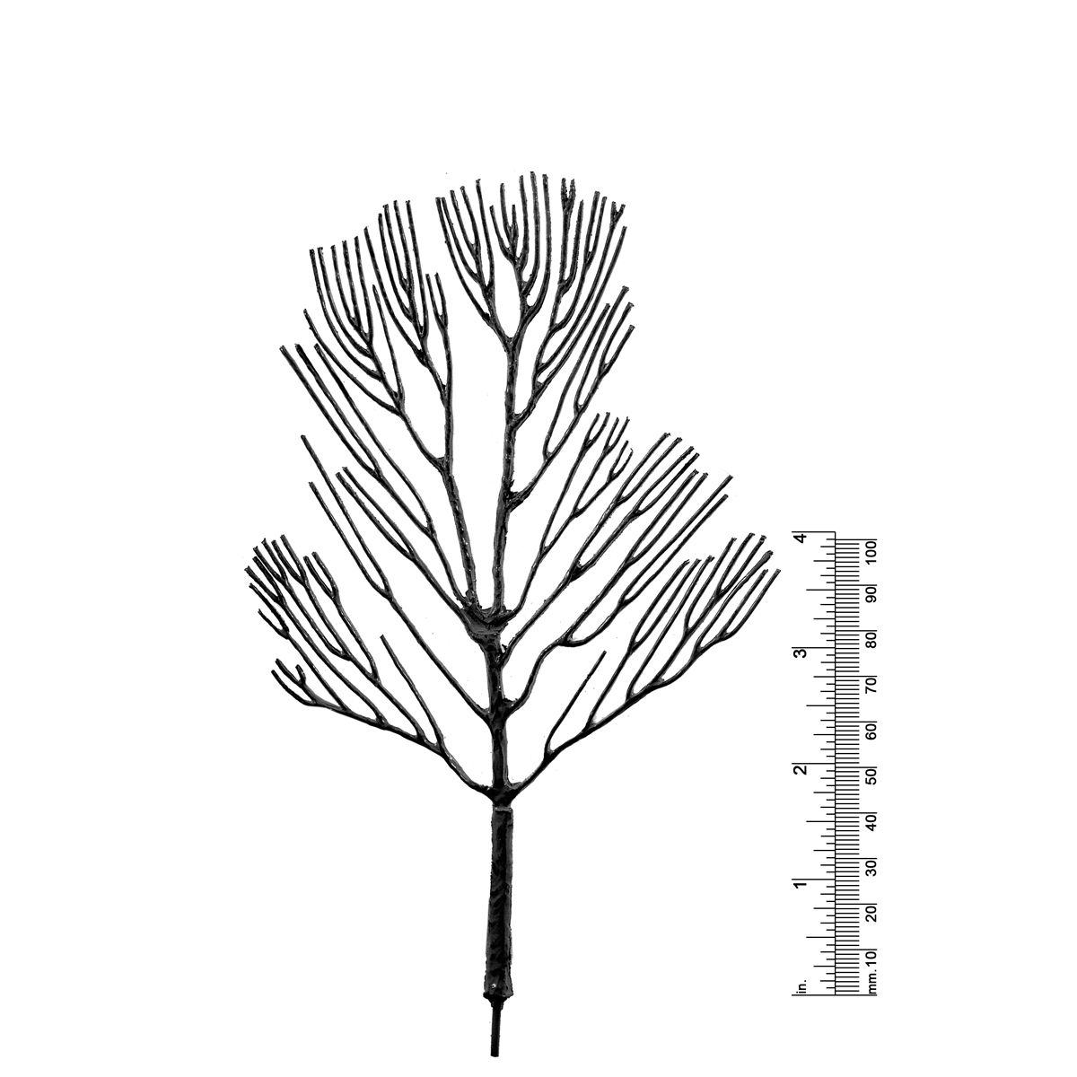 7&quot; DECIDUOUS TREE