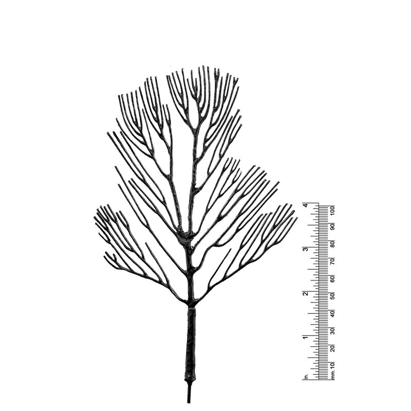 7&quot; DECIDUOUS TREE