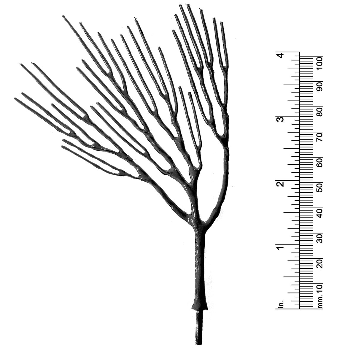 4-3/4&quot; DECIDUOUS TREE