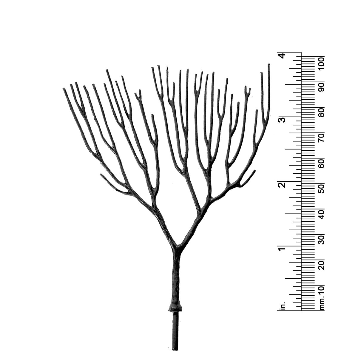 3-3/4&quot; DECIDUOUS TREE