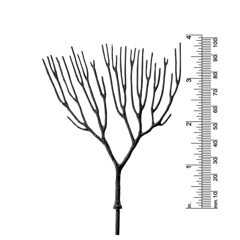 3-3/4&quot; DECIDUOUS TREE