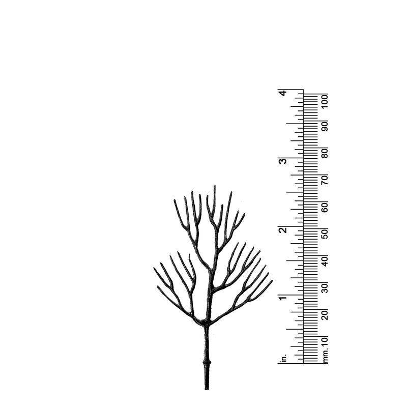2-5/8&quot; DECIDUOUS TREE