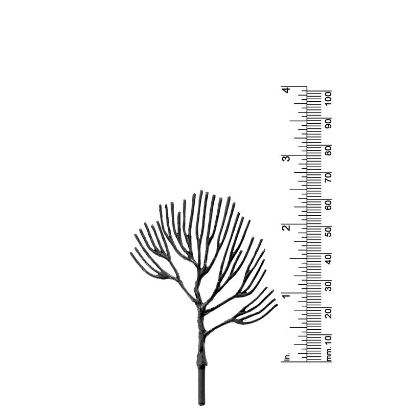 2 - 1/2&quot; DECIDUOUS TREE
