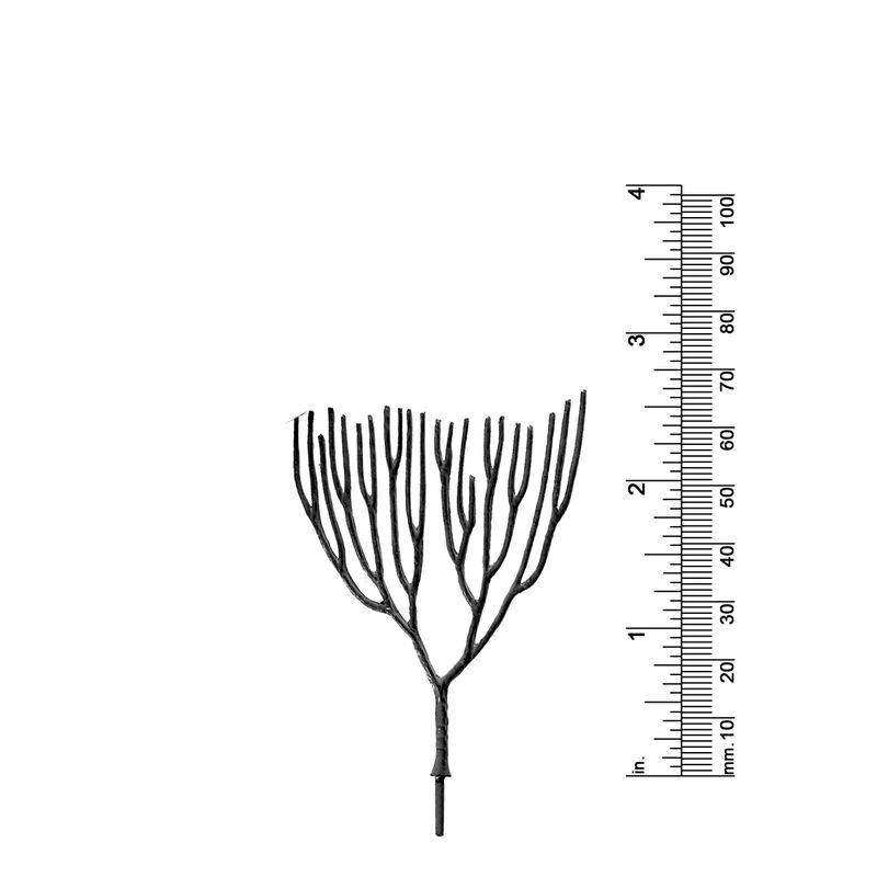 2-1/2&quot; DECIDUOUS TREE
