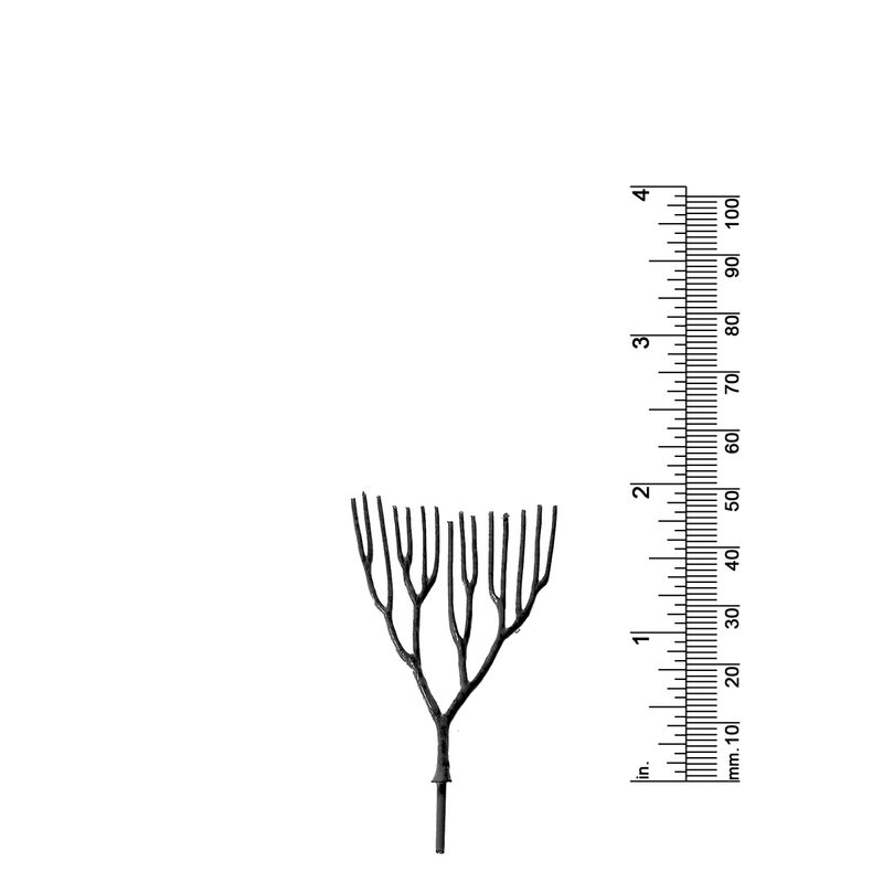 2&quot; DECIDUOUS TREE
