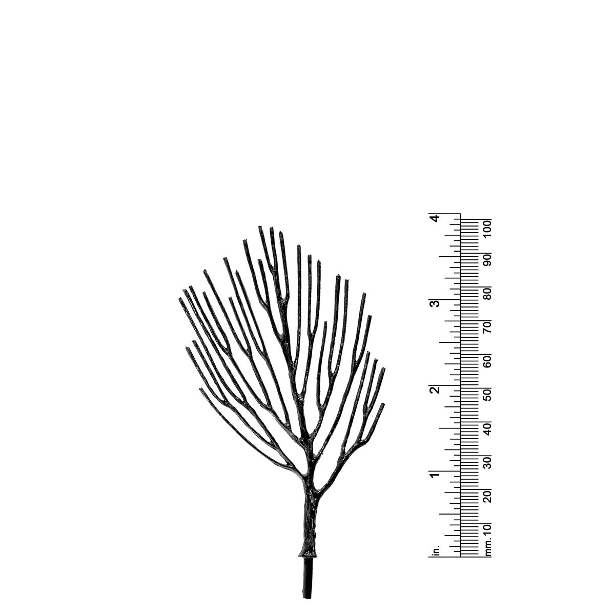 3-3/4&quot; DECIDUOUS TREE