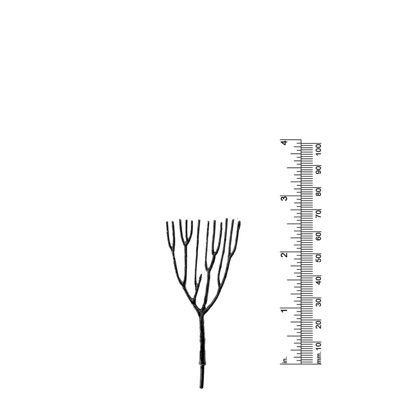 3&quot; DECIDUOUS TREE