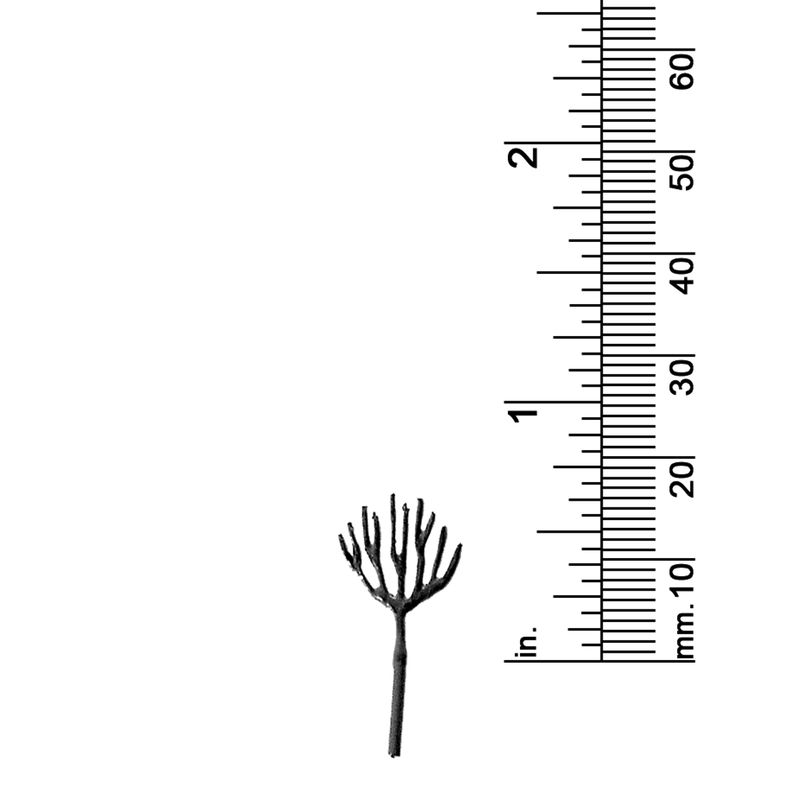 5/8&quot; DECIDUOUS TREE