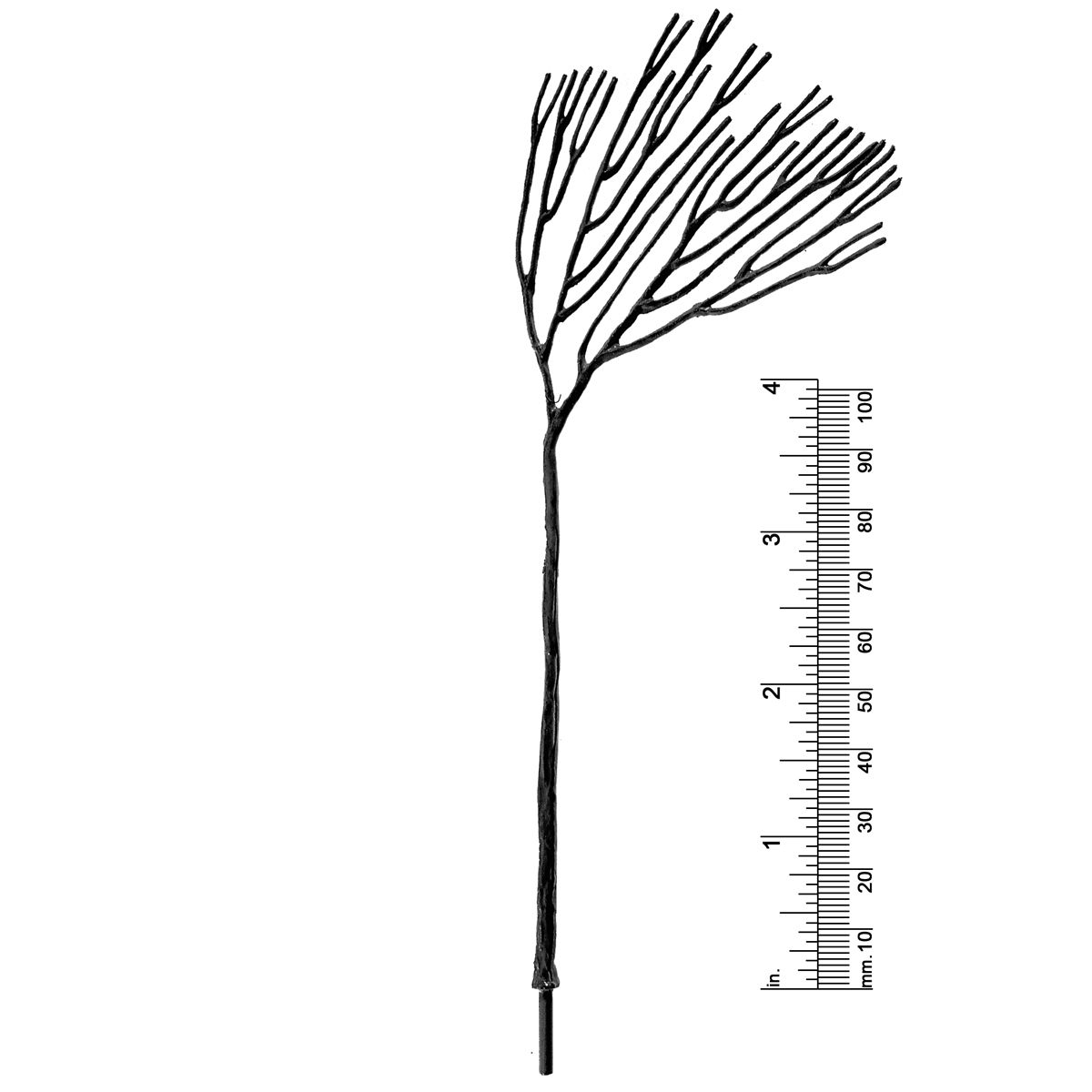 5-1/2&quot; DECIDUOUS TREE