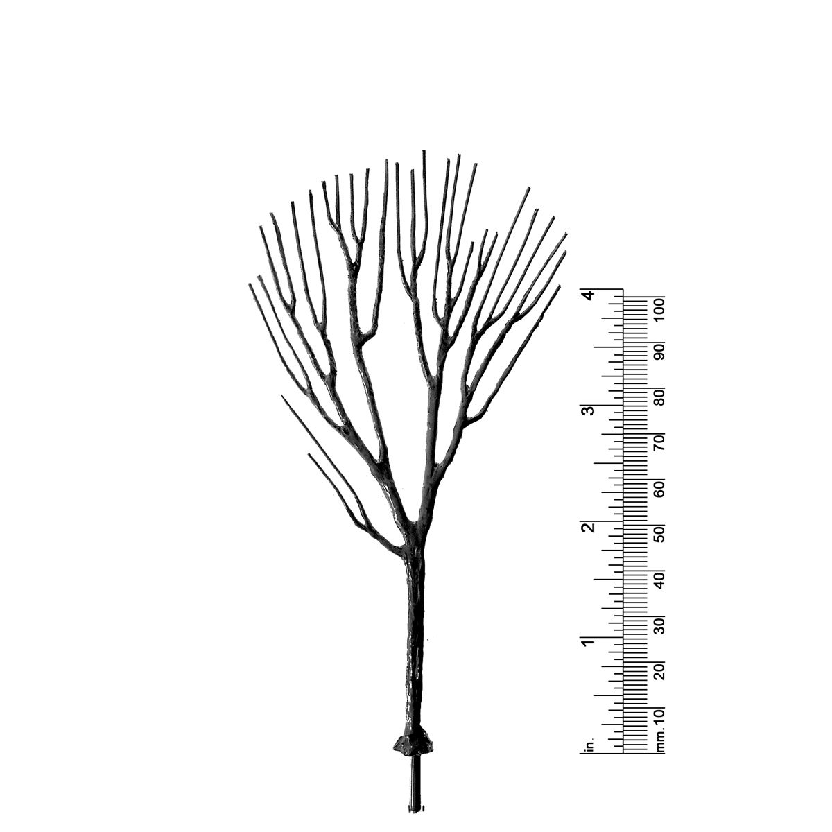 5&quot; DECIDUOUS TREE