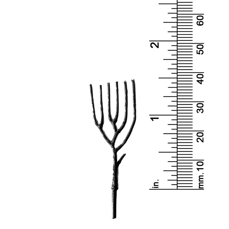 1-1/2&quot; DECIDUOUS TREE