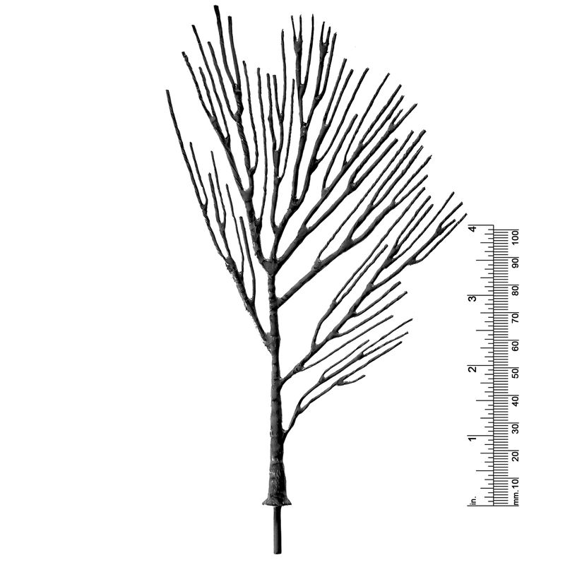 7&quot; DECIDUOUS TREE