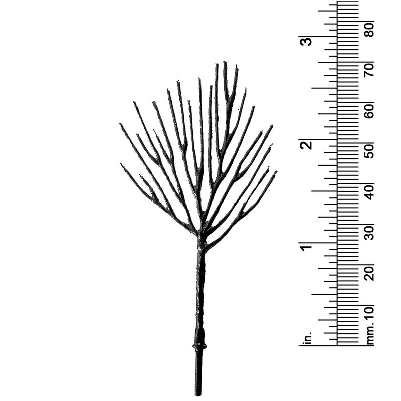2-5/8&quot; DECIDUOUS TREE