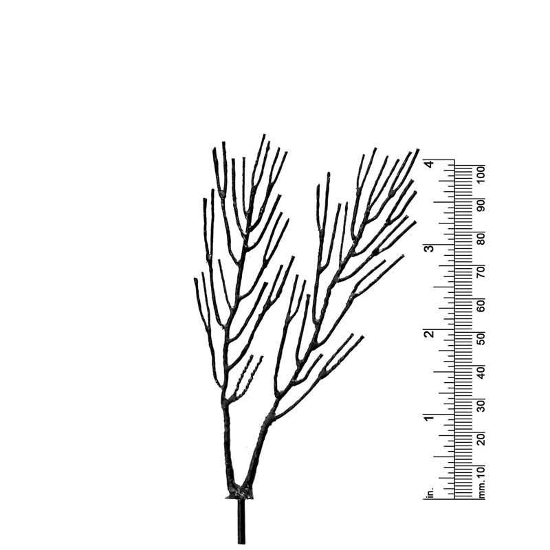 4-1/2&quot; TWIN TRUNK DECIDUOUS