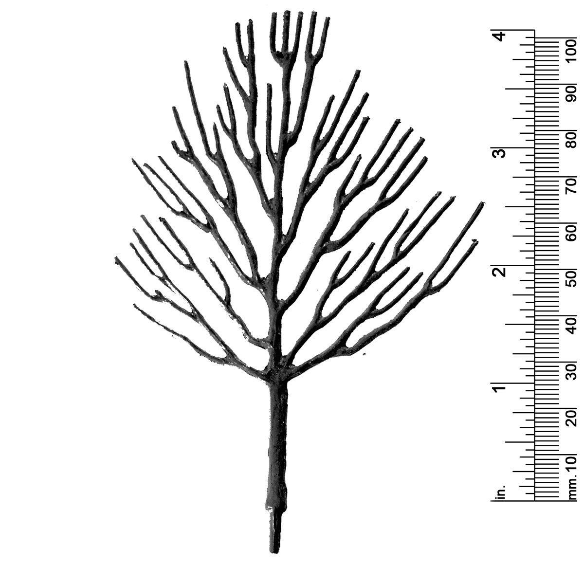 4-1/4&quot; DECIDUOUS TREE
