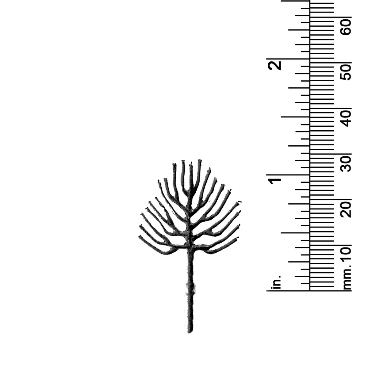 1-1/4&quot; DECIDUOUS TREE