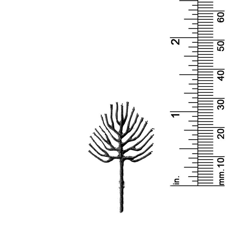 1-1/4&quot; DECIDUOUS TREE