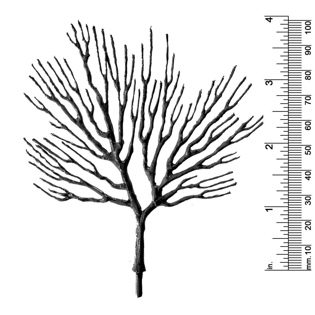3-3/4&quot; DECIDUOUS TREE
