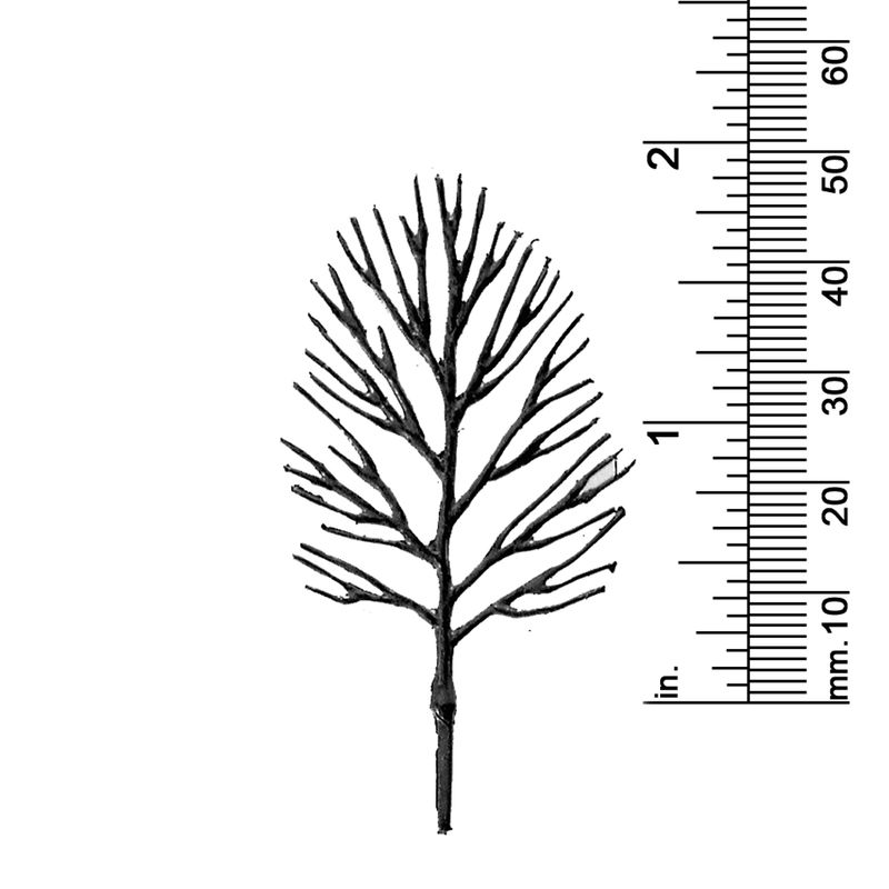1-7/8&quot; DECIDUOUS TREE