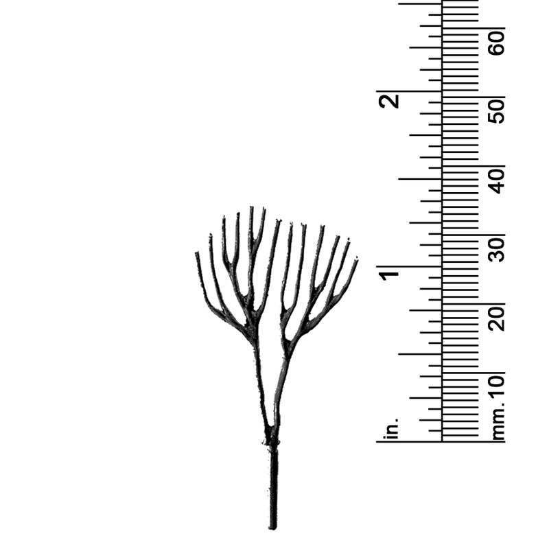 1-1/4&quot; DECIDUOUS TREE, TWIN TRUNKS