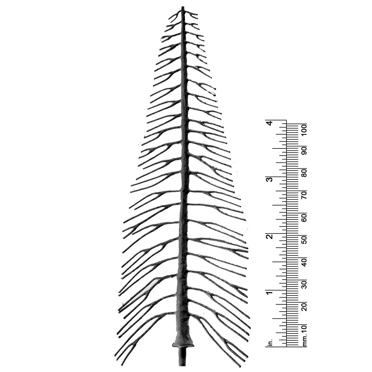 6&quot; PINE TREE